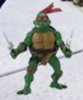 Turtle who watches kenner on toilet.jpg