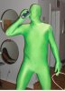 greenman1.jpg