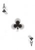 ace of clubs.jpg